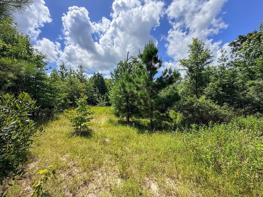 42.5 acres in Texas County - photo 77