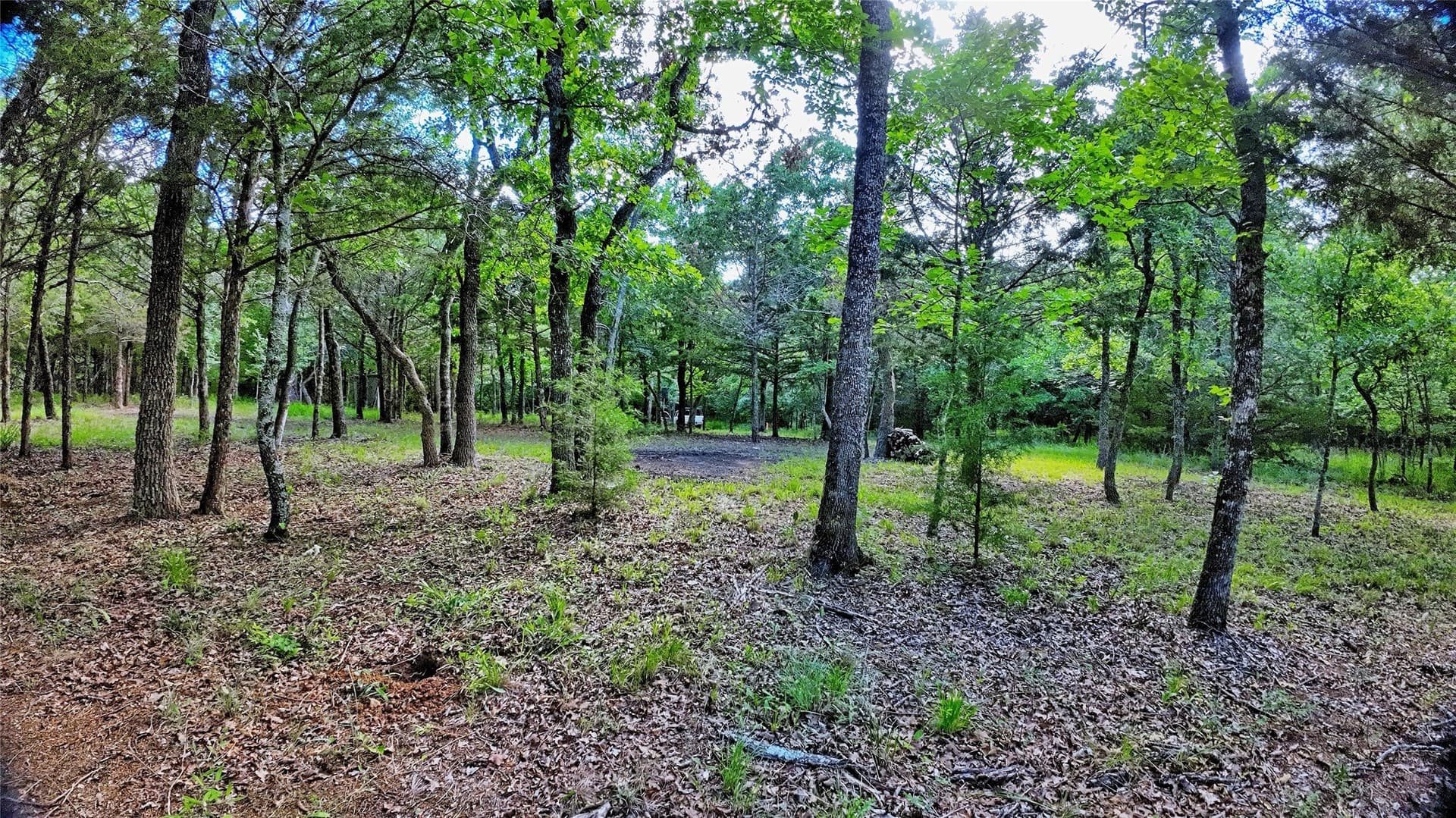 2.01 acres in Montague County - photo 12