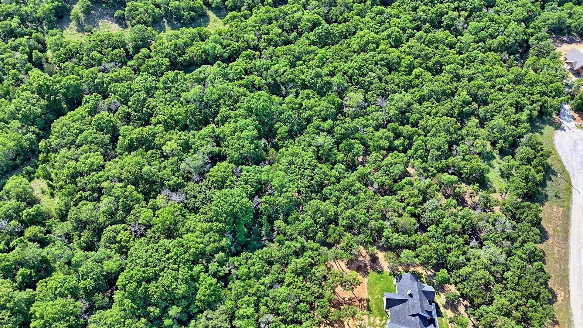 2.01 acres in Montague County - photo 10
