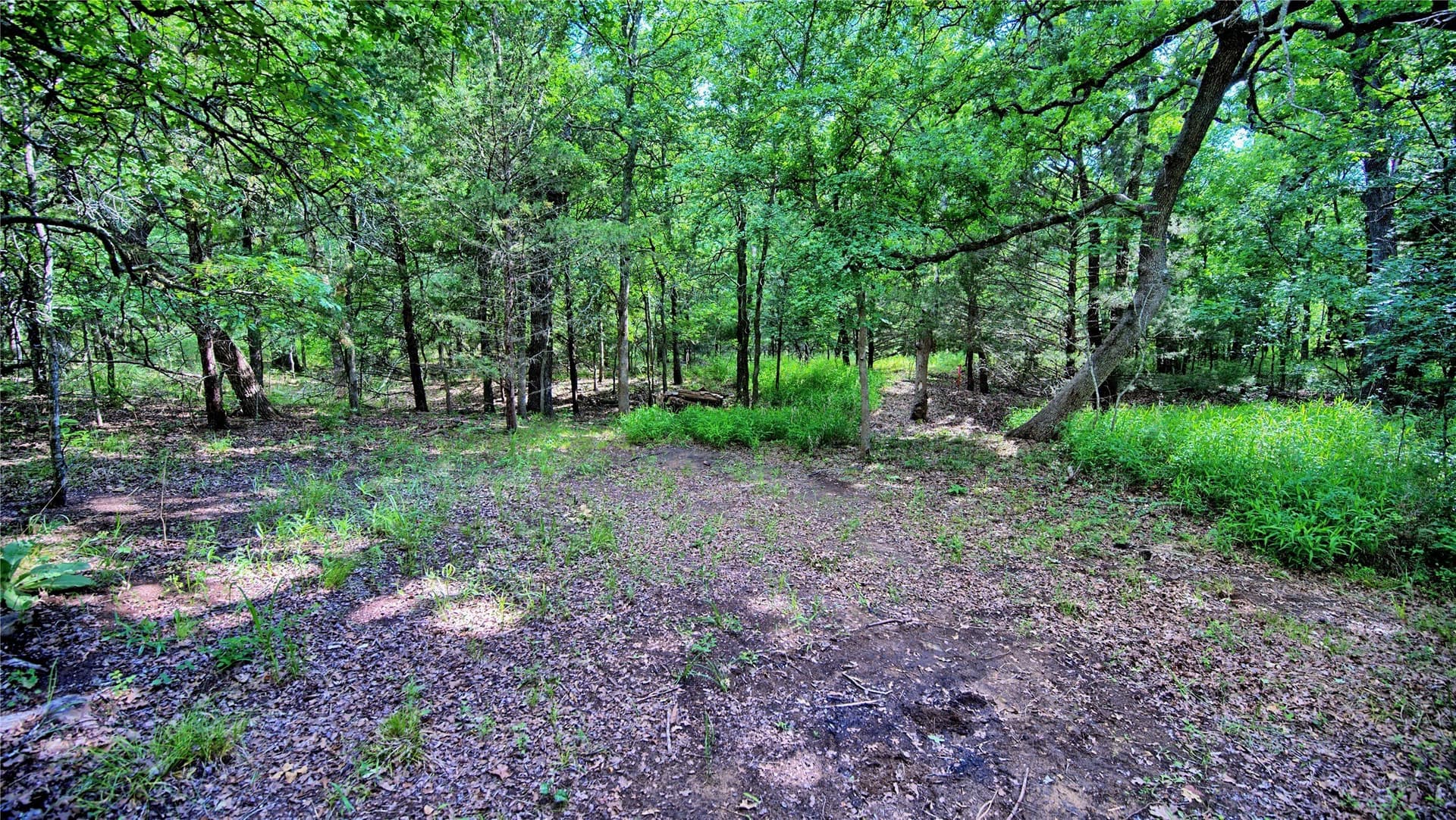 2.01 acres in Montague County - photo 16