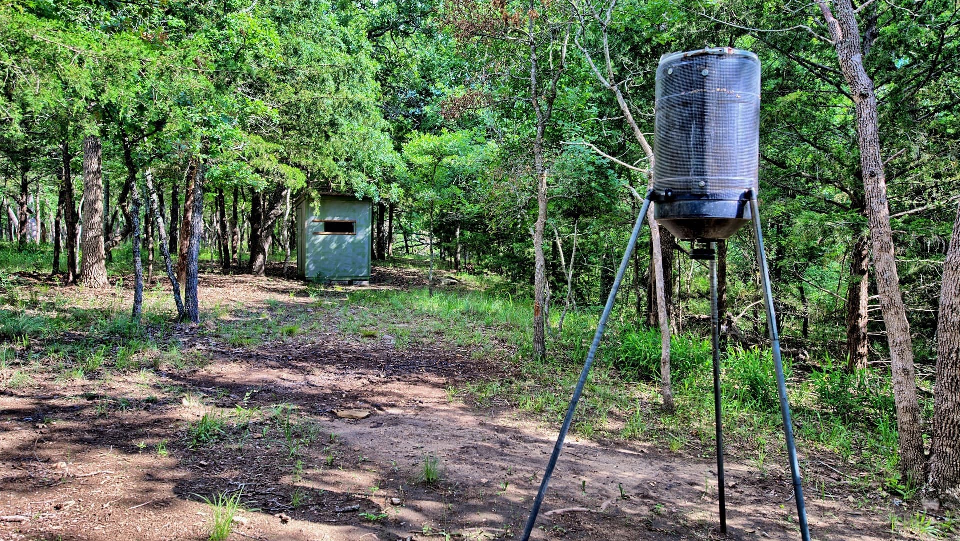 2.01 acres in Montague County - photo 15
