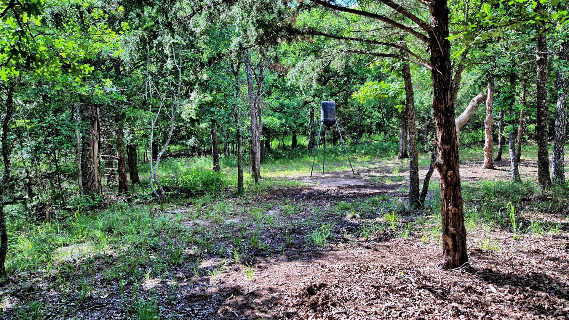 2.01 acres in Montague County - photo 6