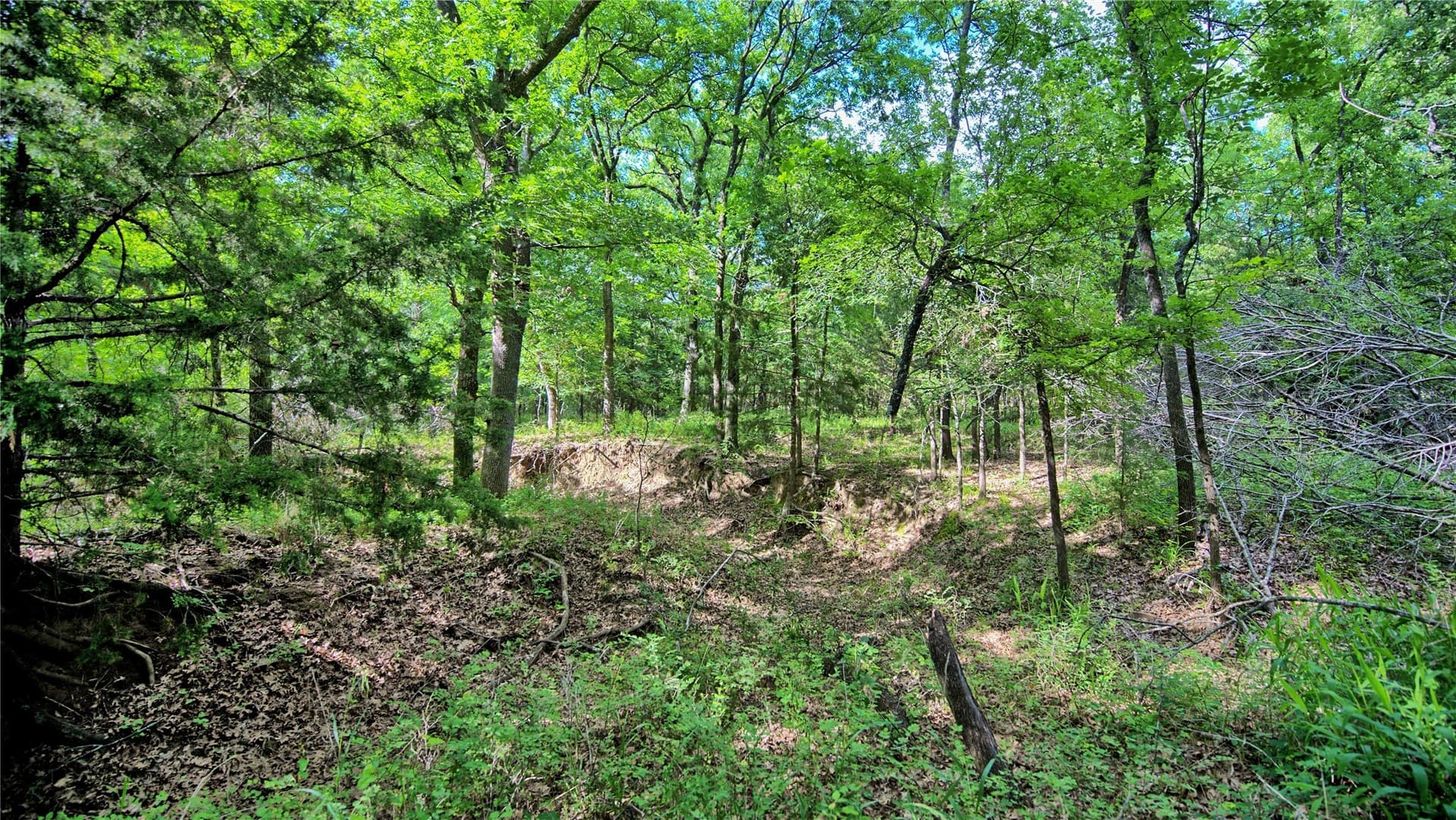 2.01 acres in Montague County - photo 14
