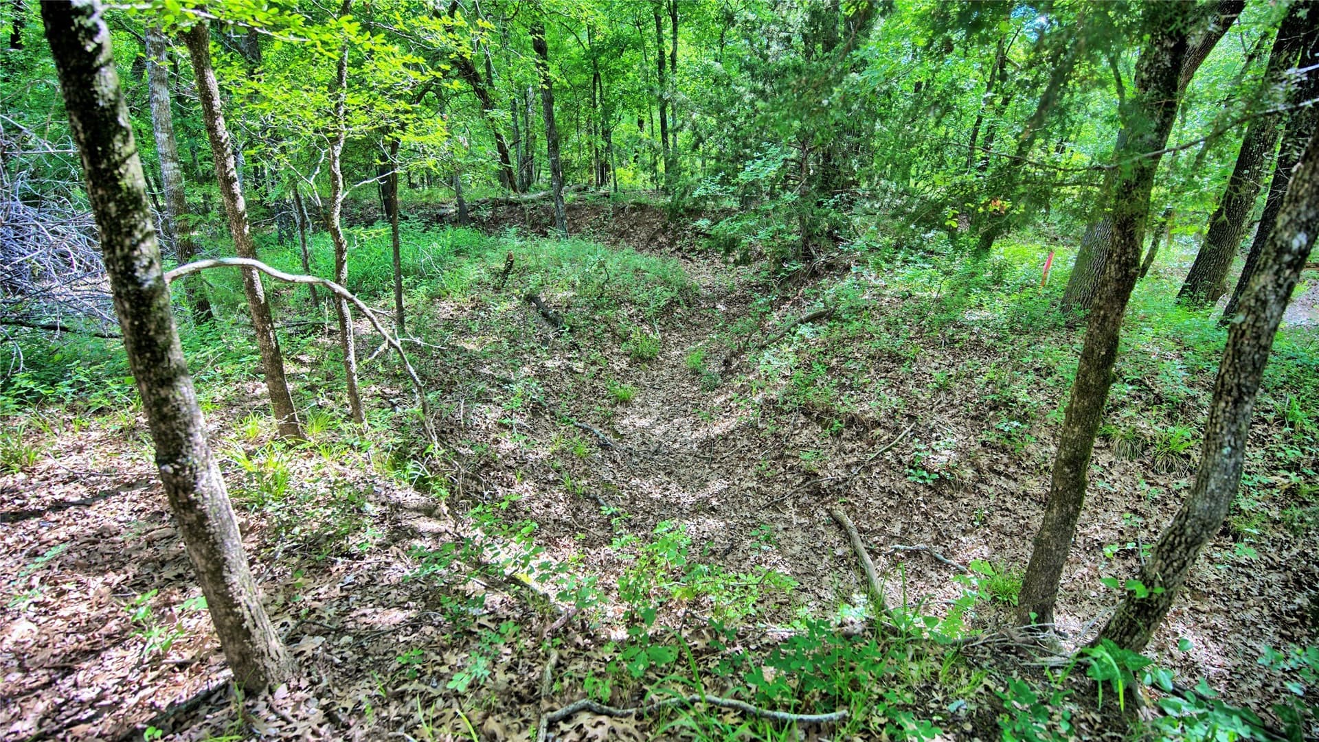 2.01 acres in Montague County gallery image 3