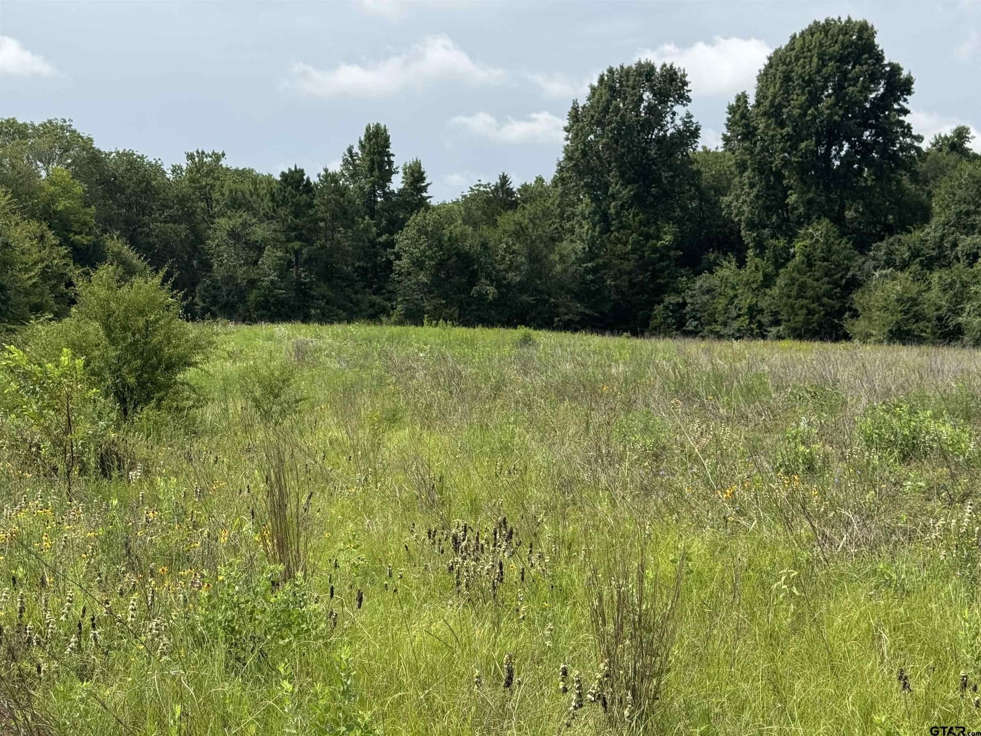 94.8 acres in Cherokee County featured view