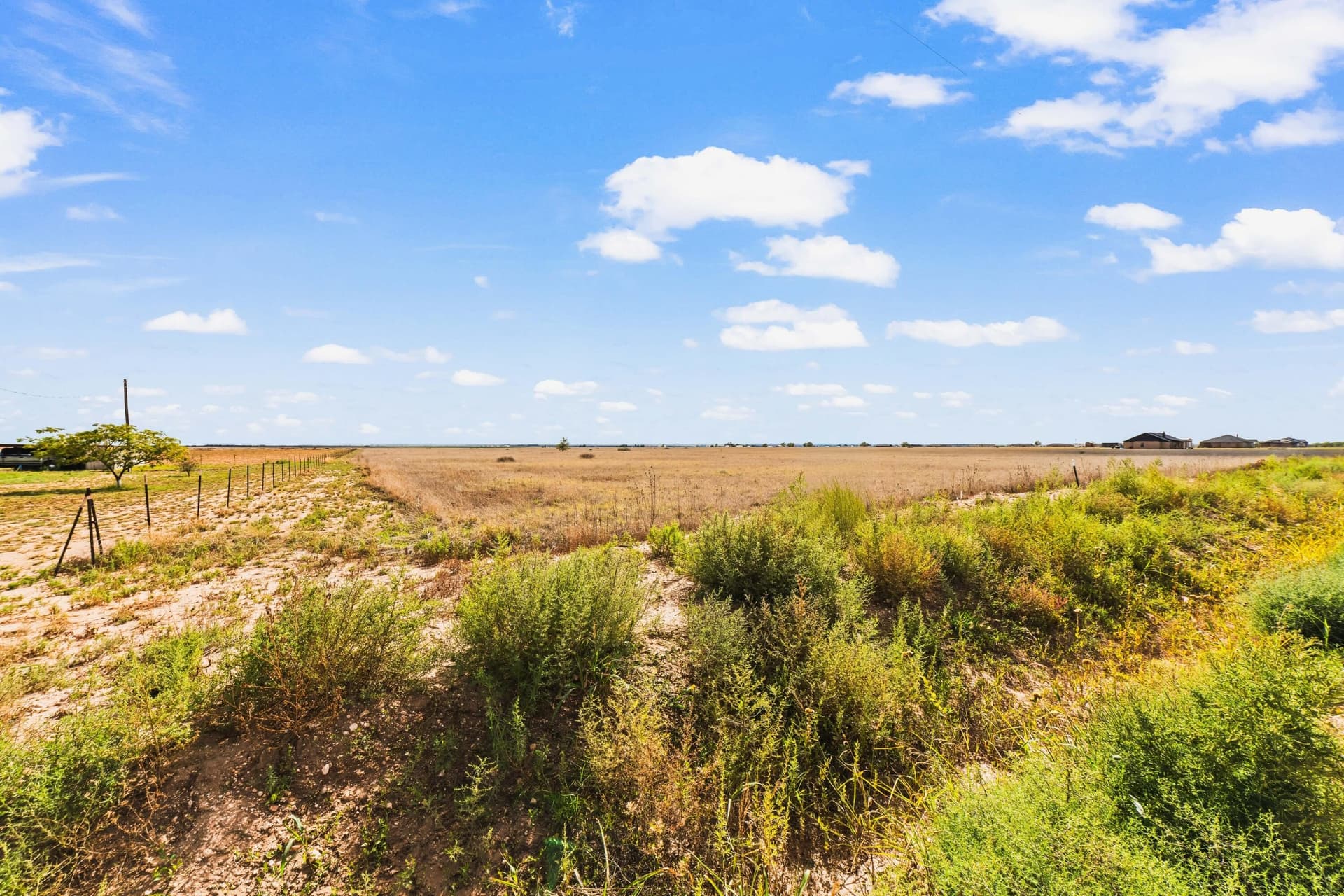 39.86 acres in Lubbock County - photo 7