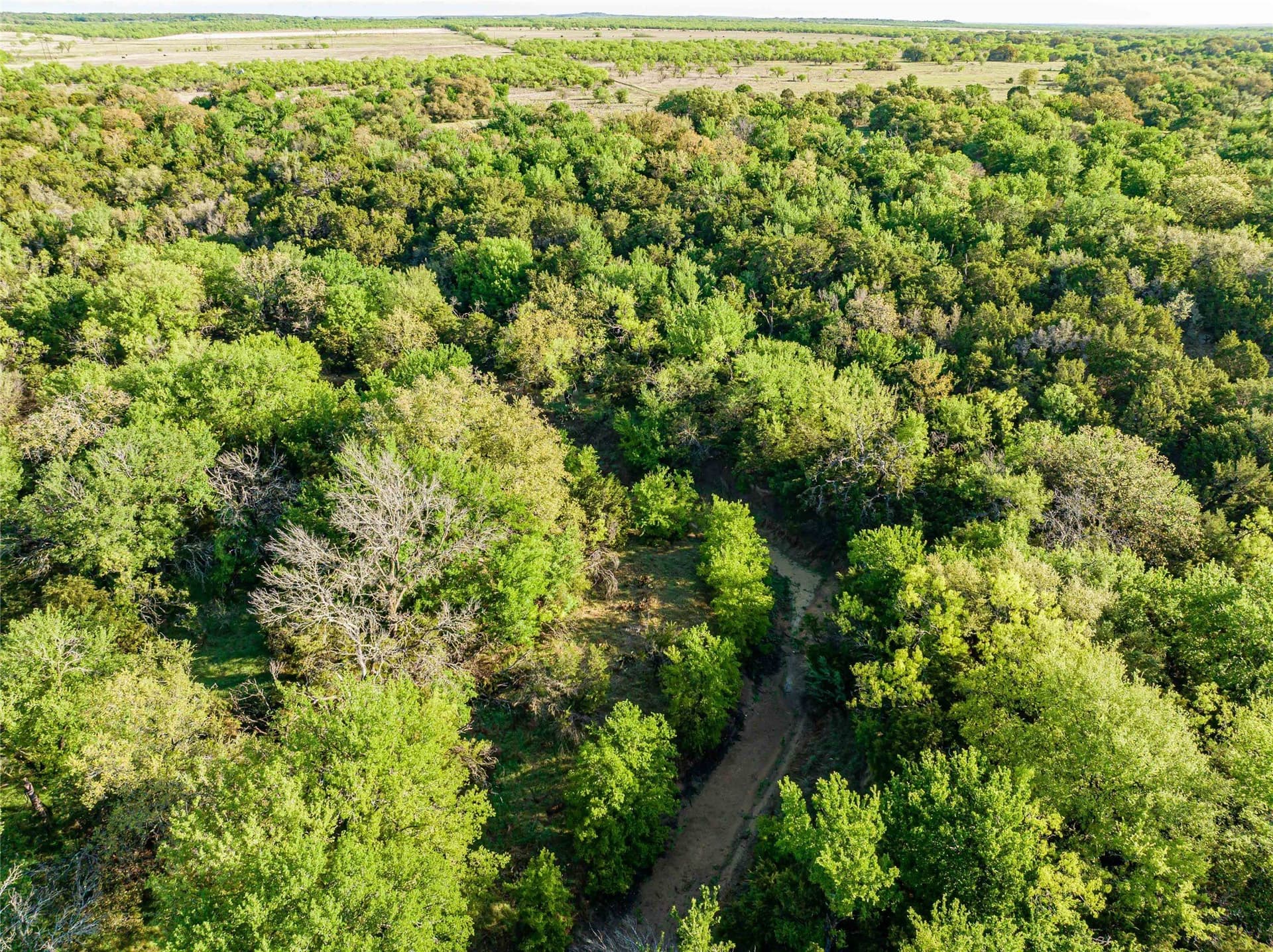 13.59 acres in Stephens County - photo 15