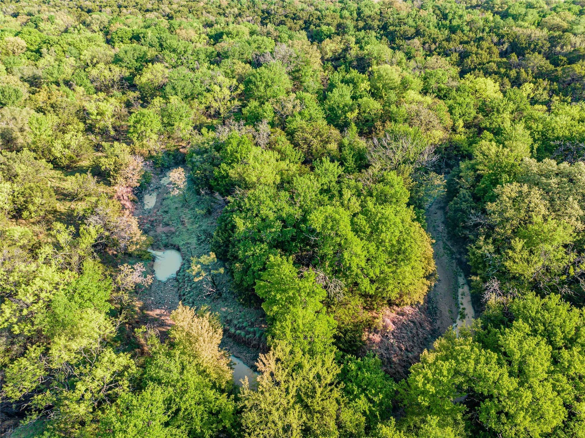 13.59 acres in Stephens County - photo 7