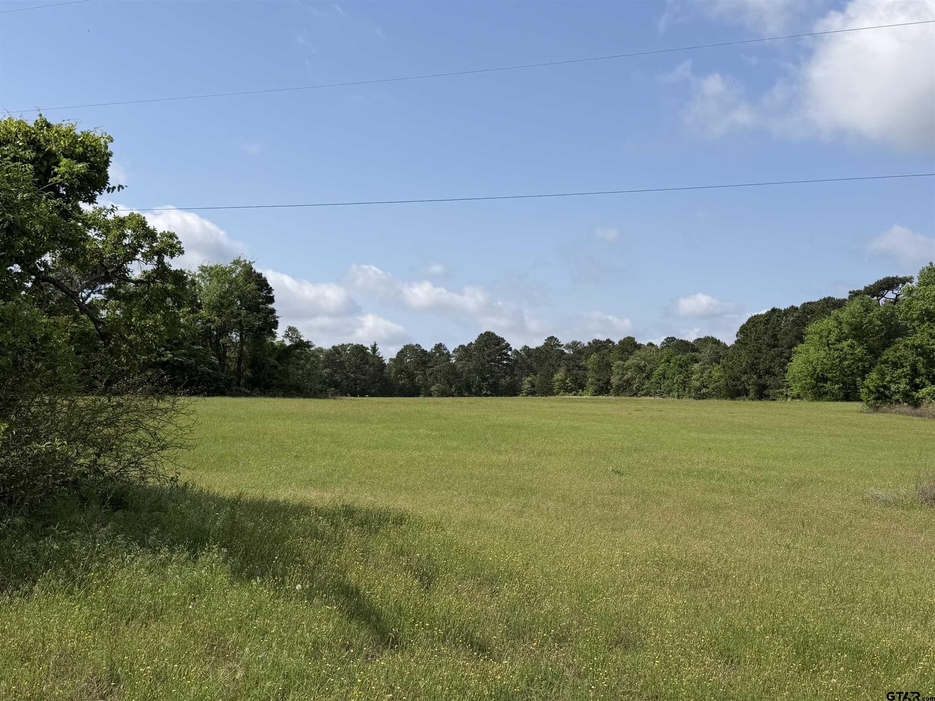 9 acres in Smith County gallery image 2