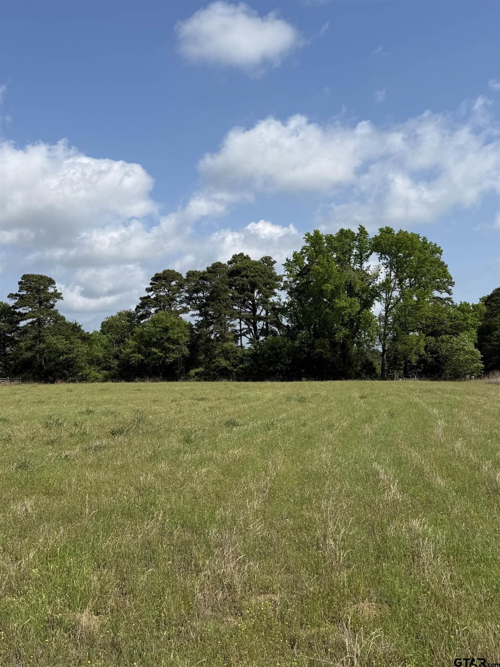 9 acres in Smith County gallery image 3