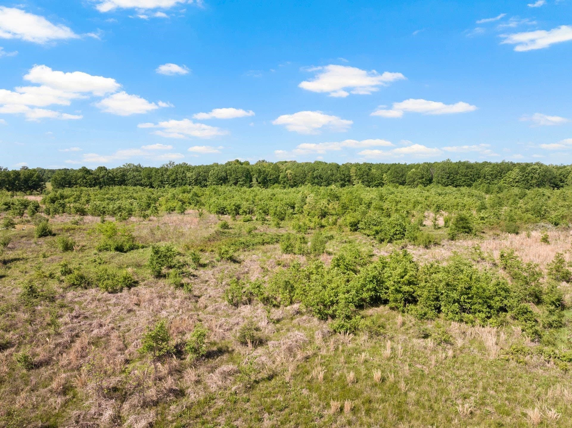 93.48 acres in Franklin (TX) County - photo 23