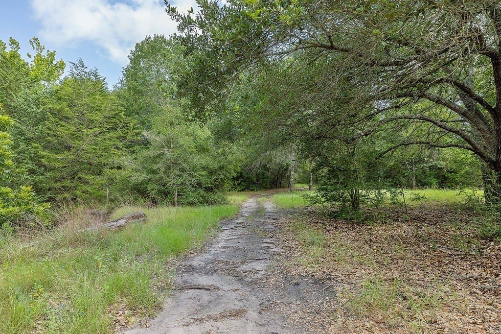 8.15 acres in Washington County - photo 8
