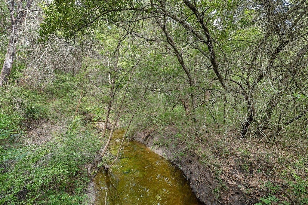8.15 acres in Washington County - photo 7