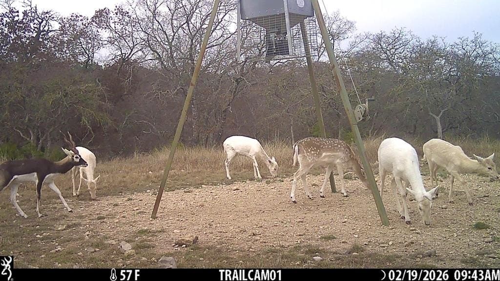 22.45 acres in Kerr County - photo 47