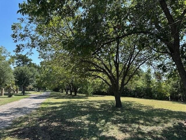 1.48 acres in Dallas County gallery image 3