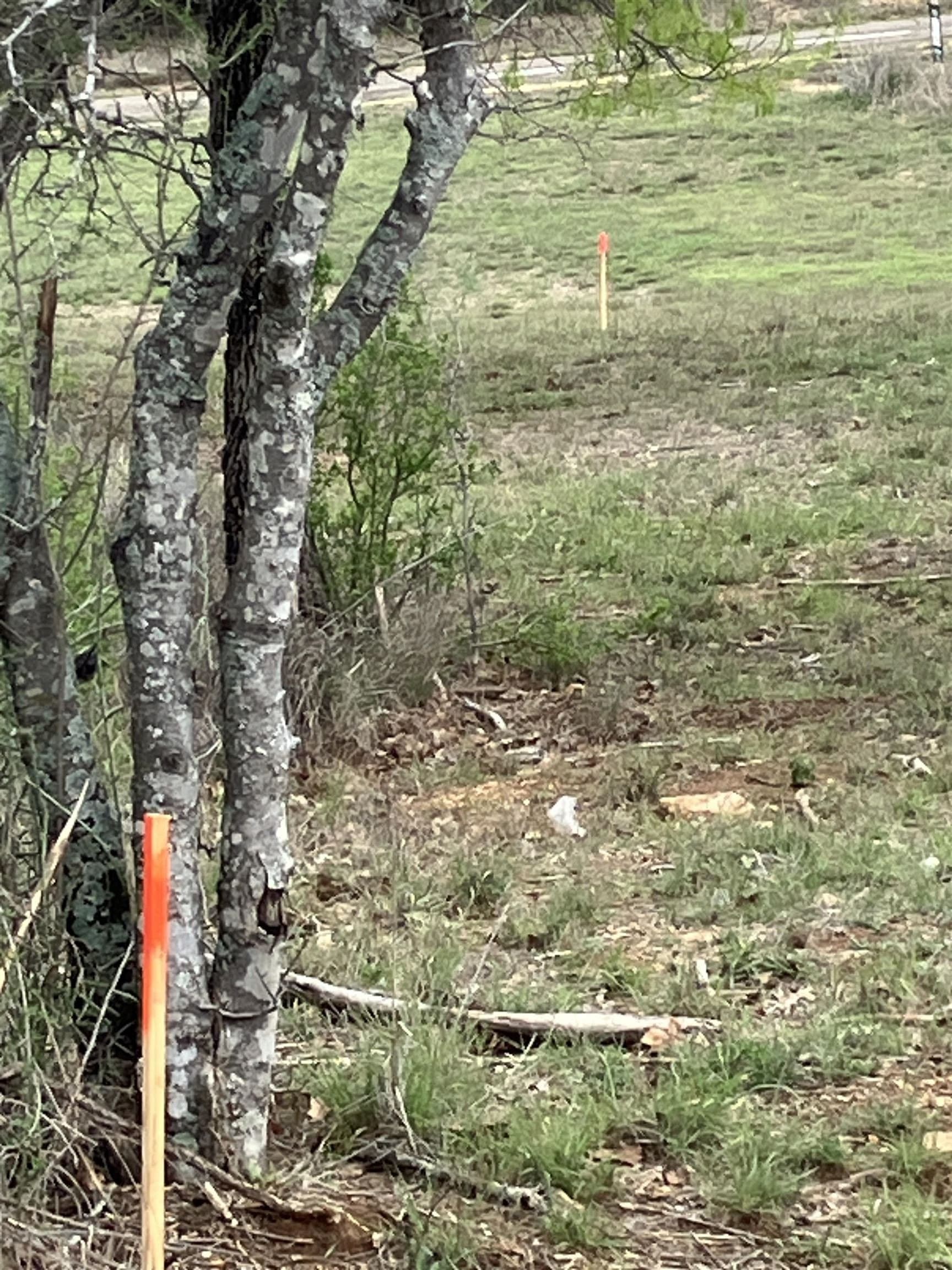 0.44 acres in Burnet County gallery image 2