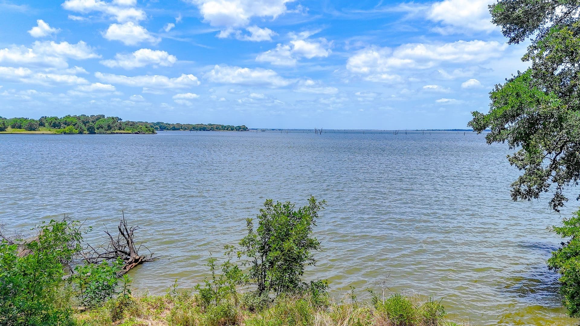 1.01 acres in Navarro County - photo 2