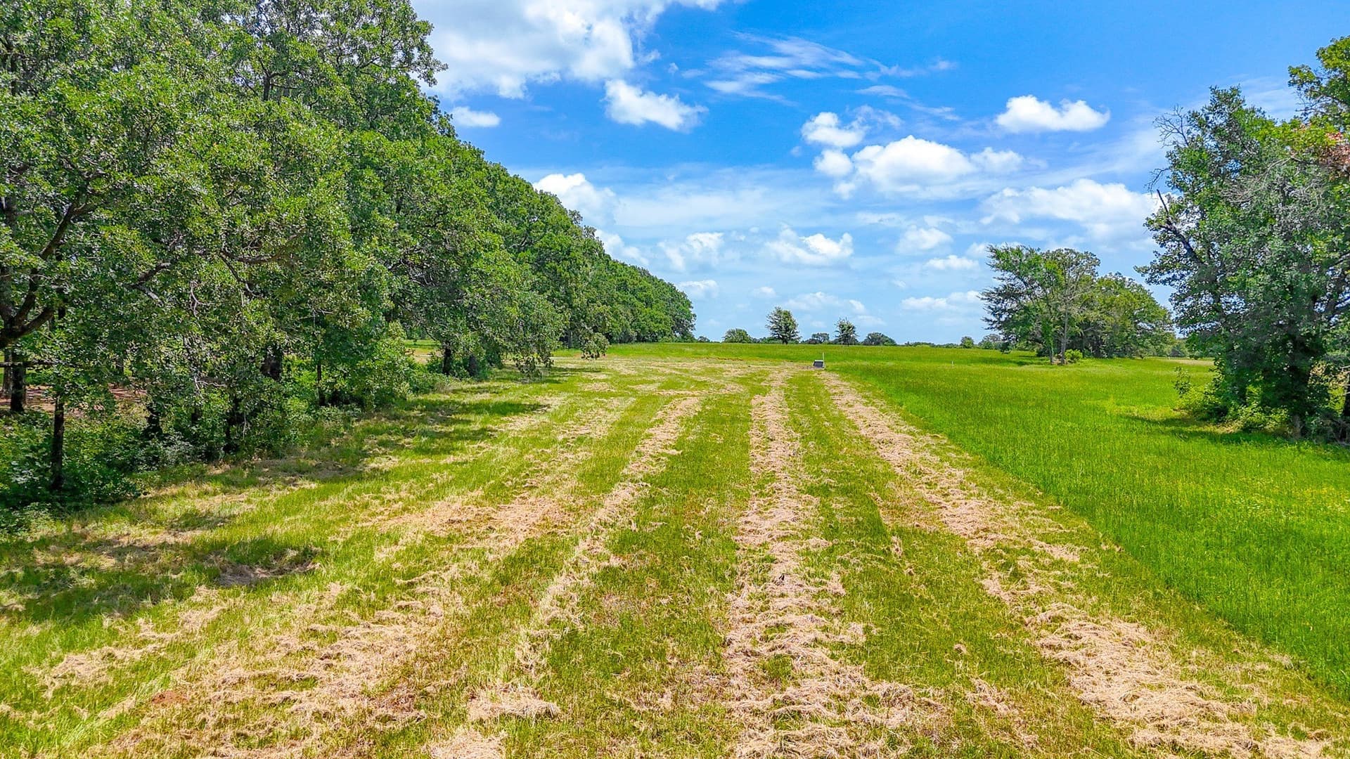 1.01 acres in Navarro County - photo 4