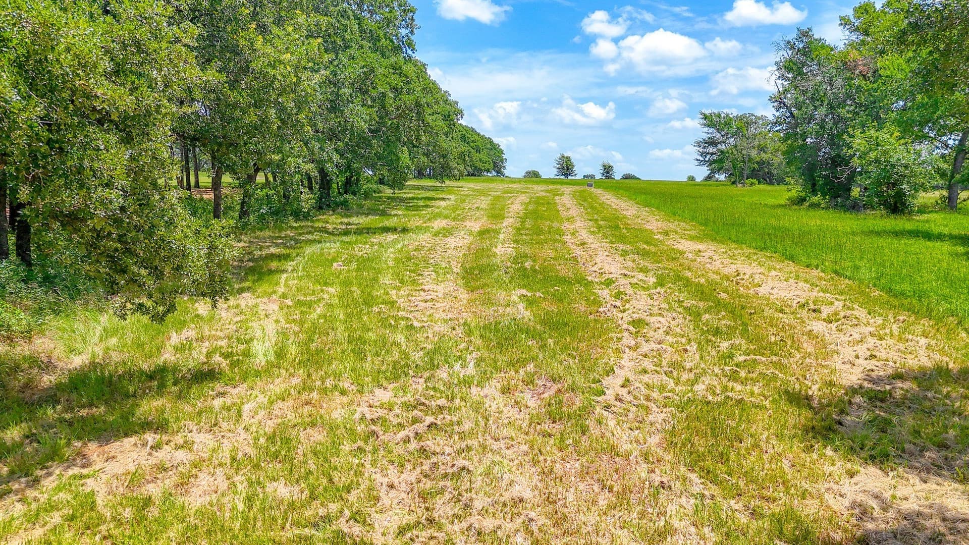 1.01 acres in Navarro County - photo 35