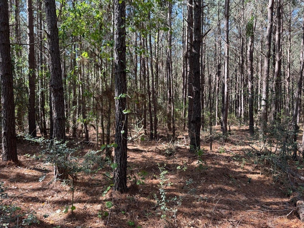 12.16 acres in Texas County - photo 7
