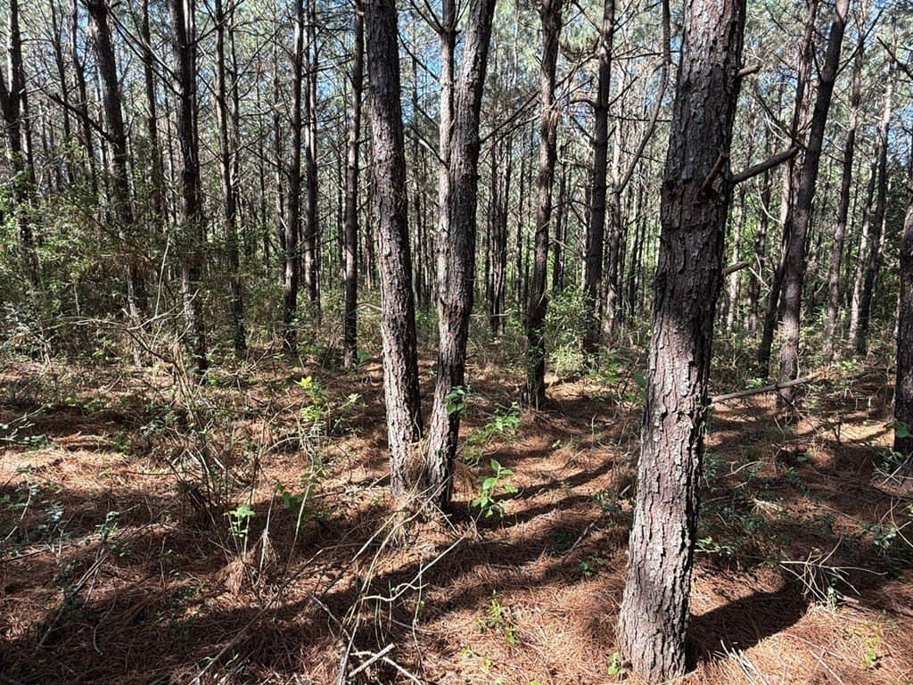 12.16 acres in Texas County - photo 2