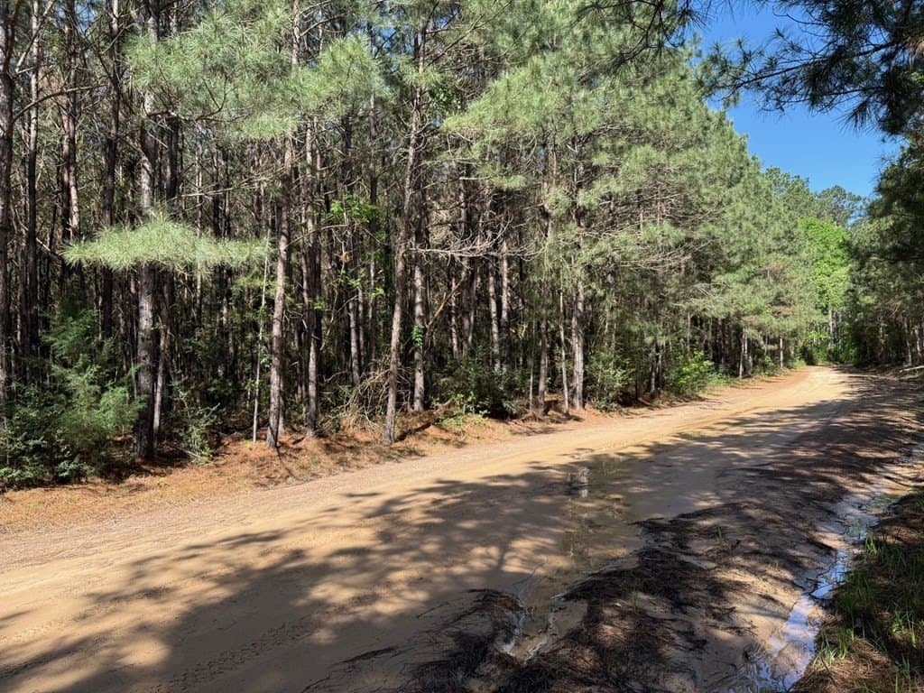 12.16 acres in Texas County - photo 5
