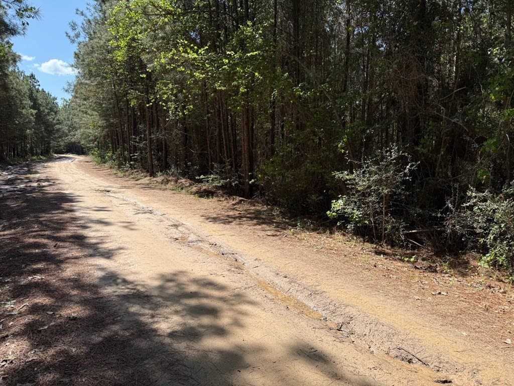12.16 acres in Texas County - photo 8