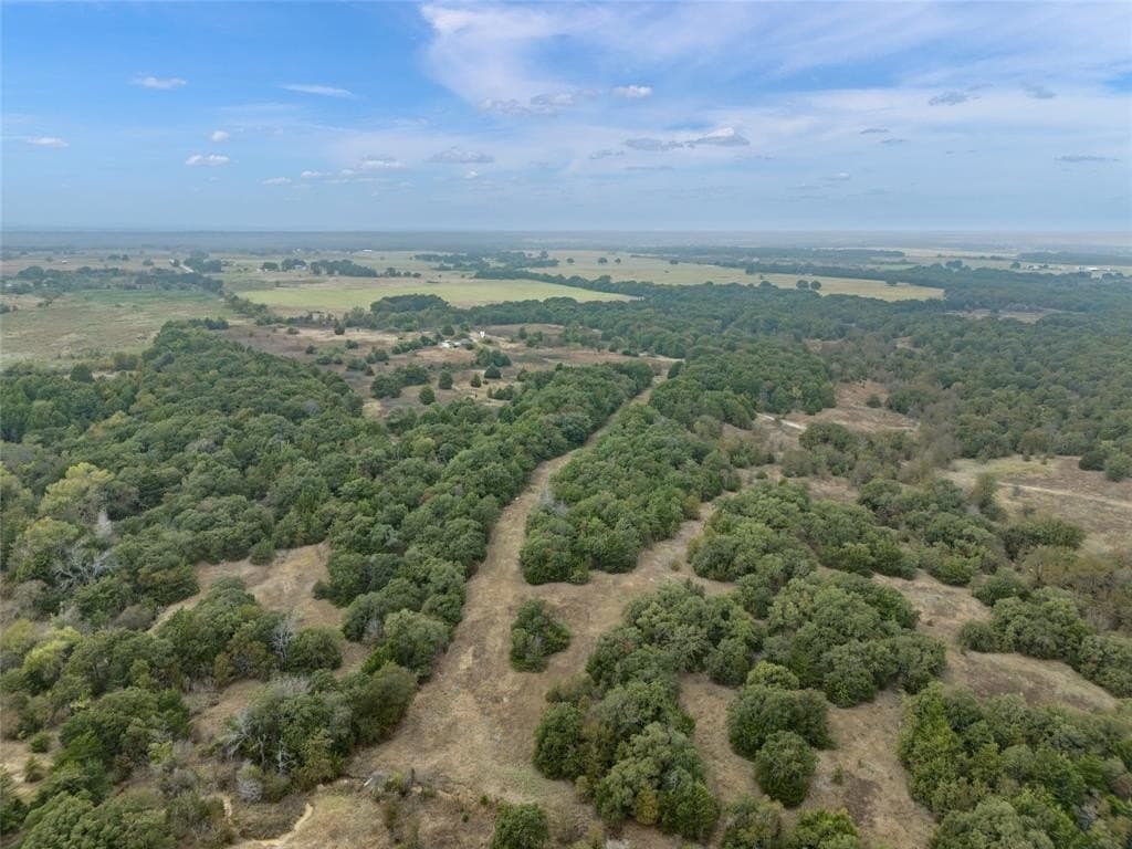 200 acres in Wise County gallery image 4