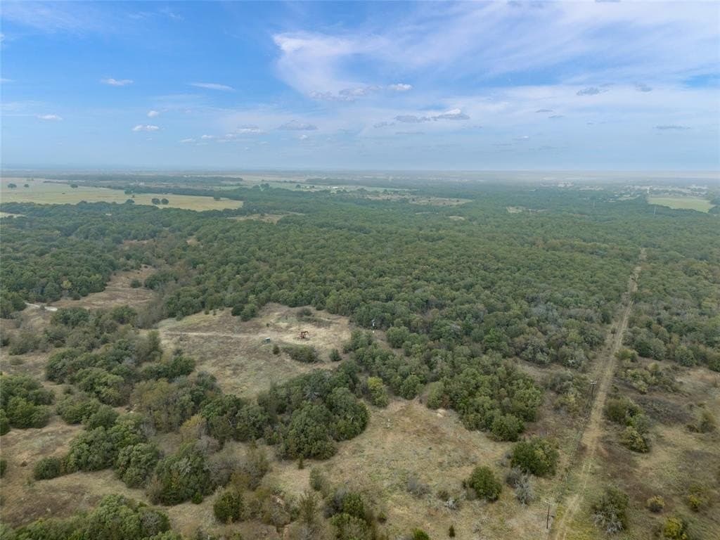 200 acres in Wise County gallery image 3