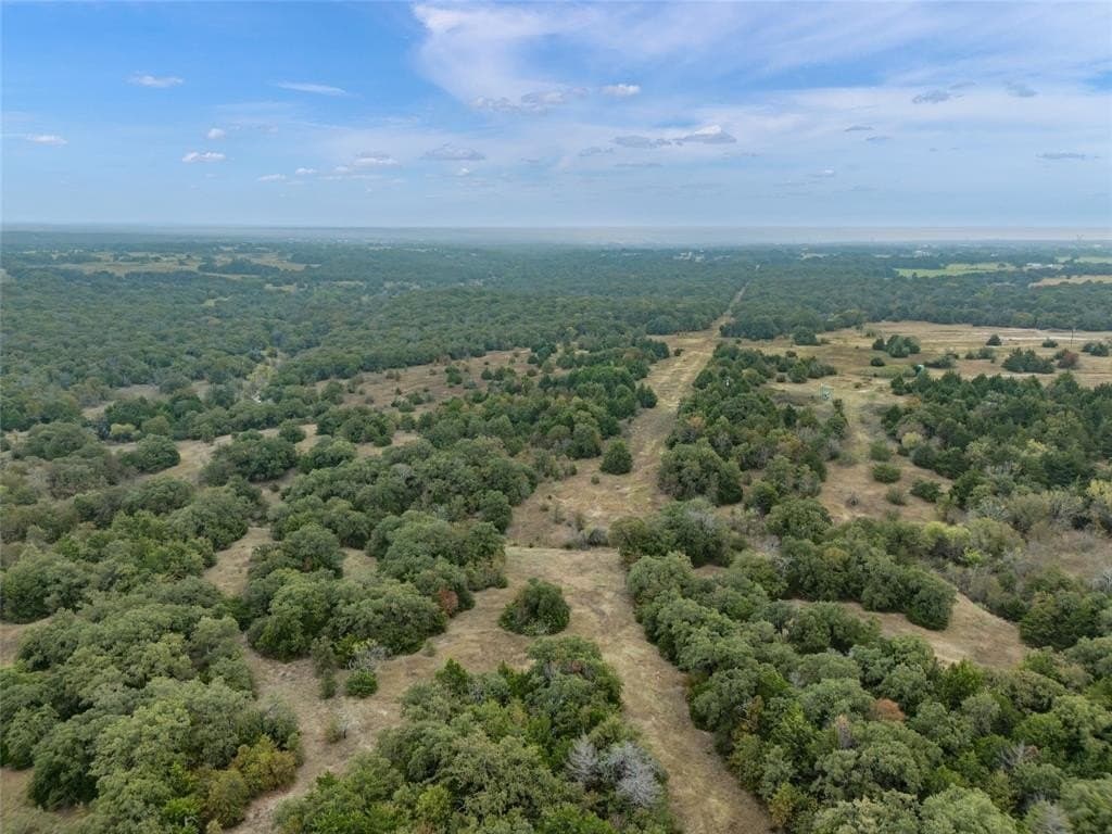 200 acres in Wise County gallery image 2