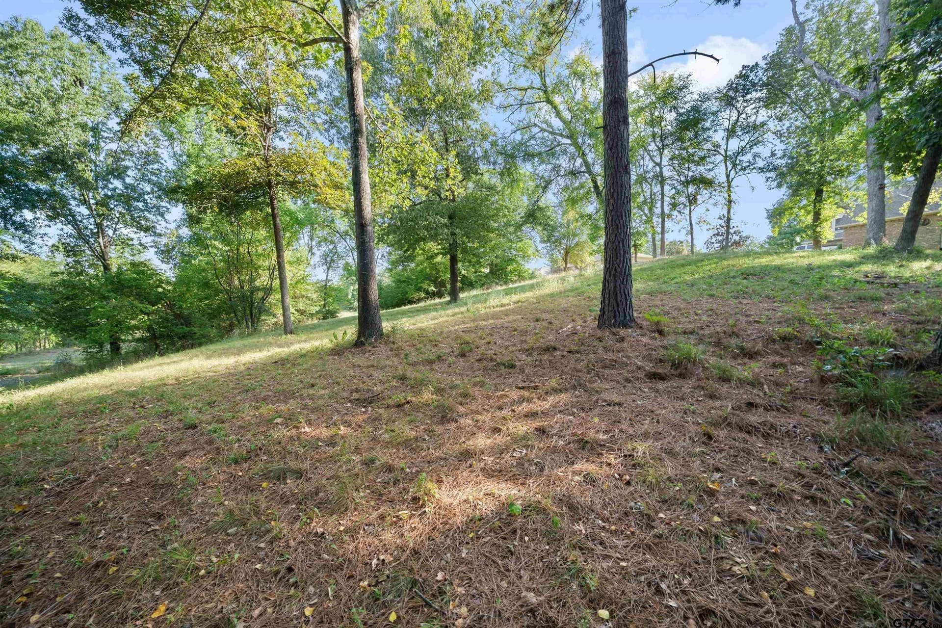 1.3 acres in Smith County - photo 7