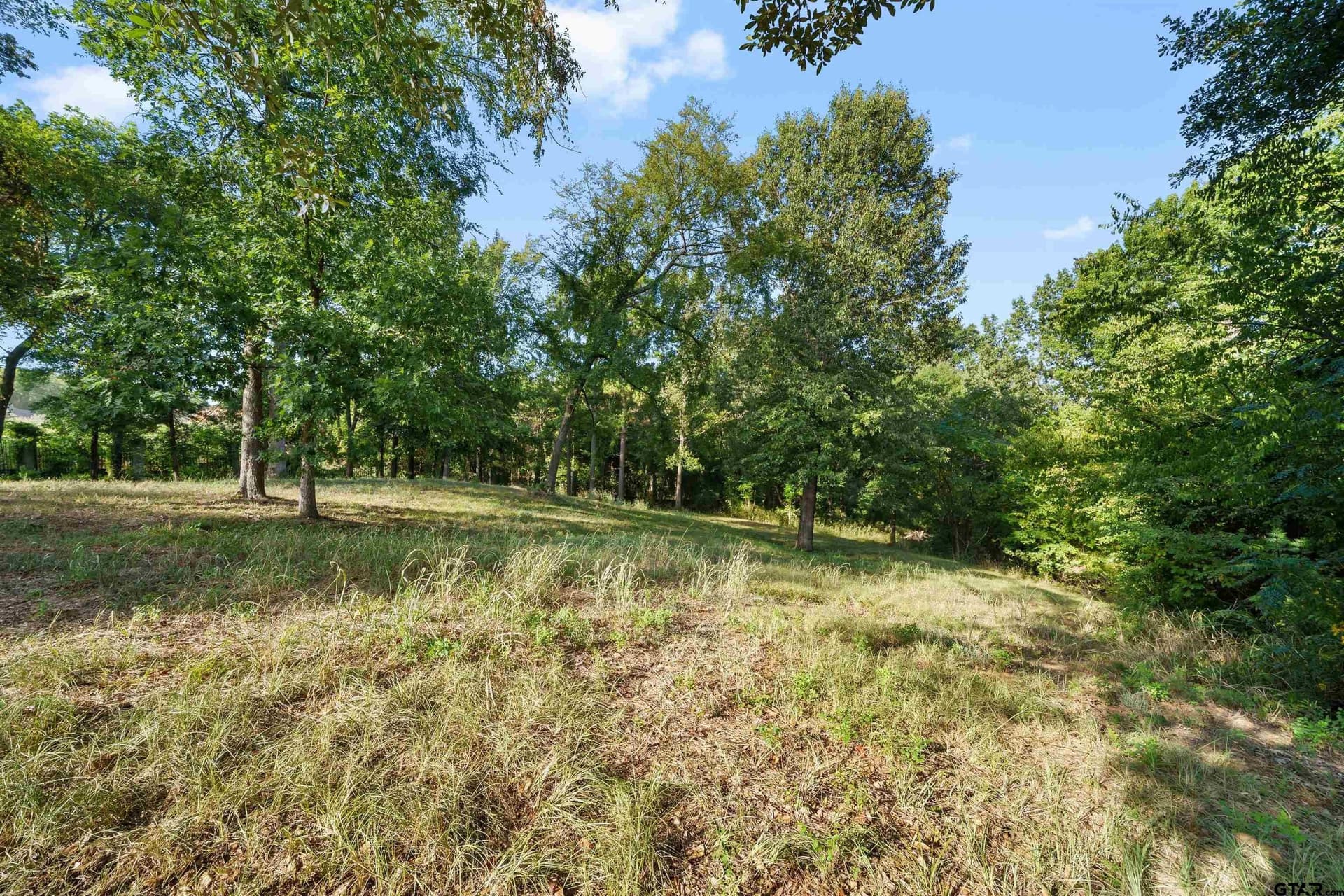 1.3 acres in Smith County - photo 3