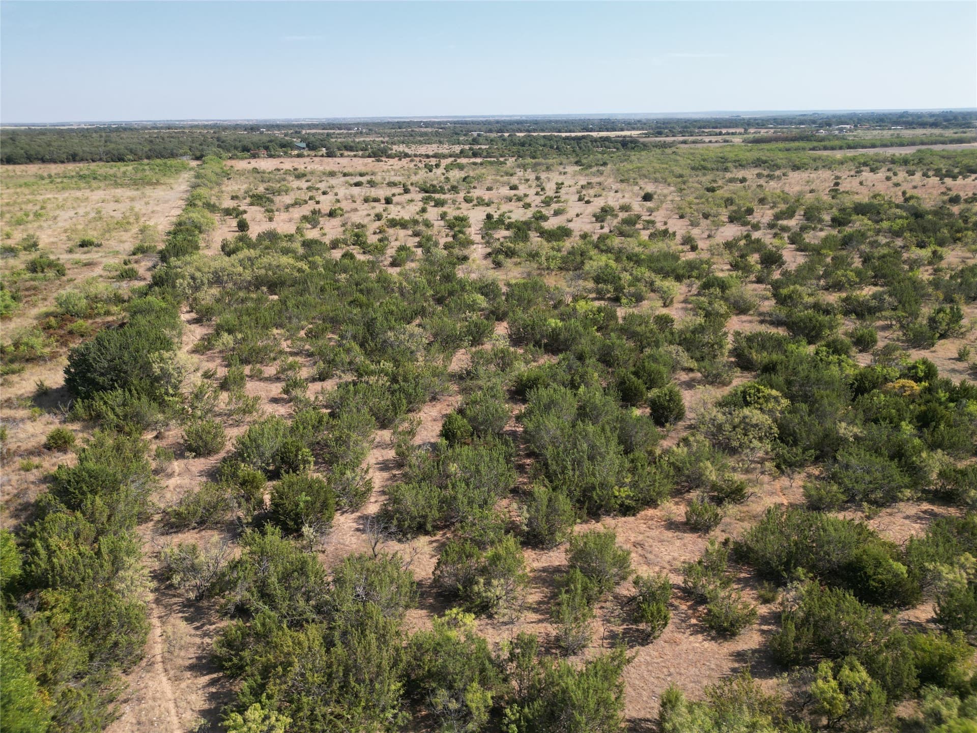 28.19 acres in Callahan County - photo 2