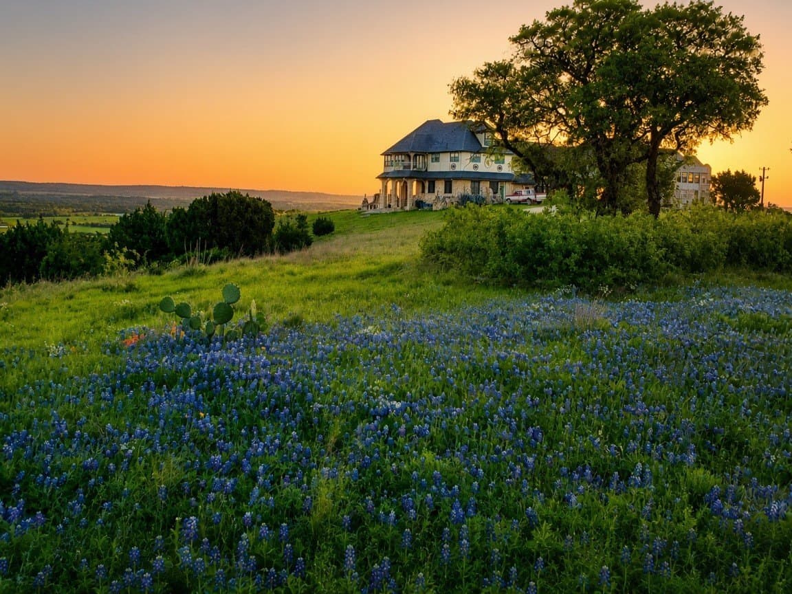 190.06 acres in Bosque County - photo 12