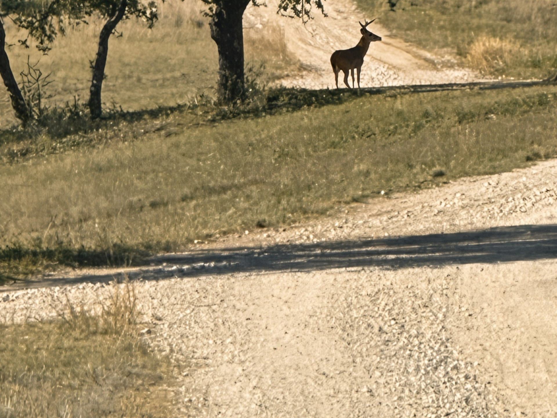 190.06 acres in Bosque County - photo 9