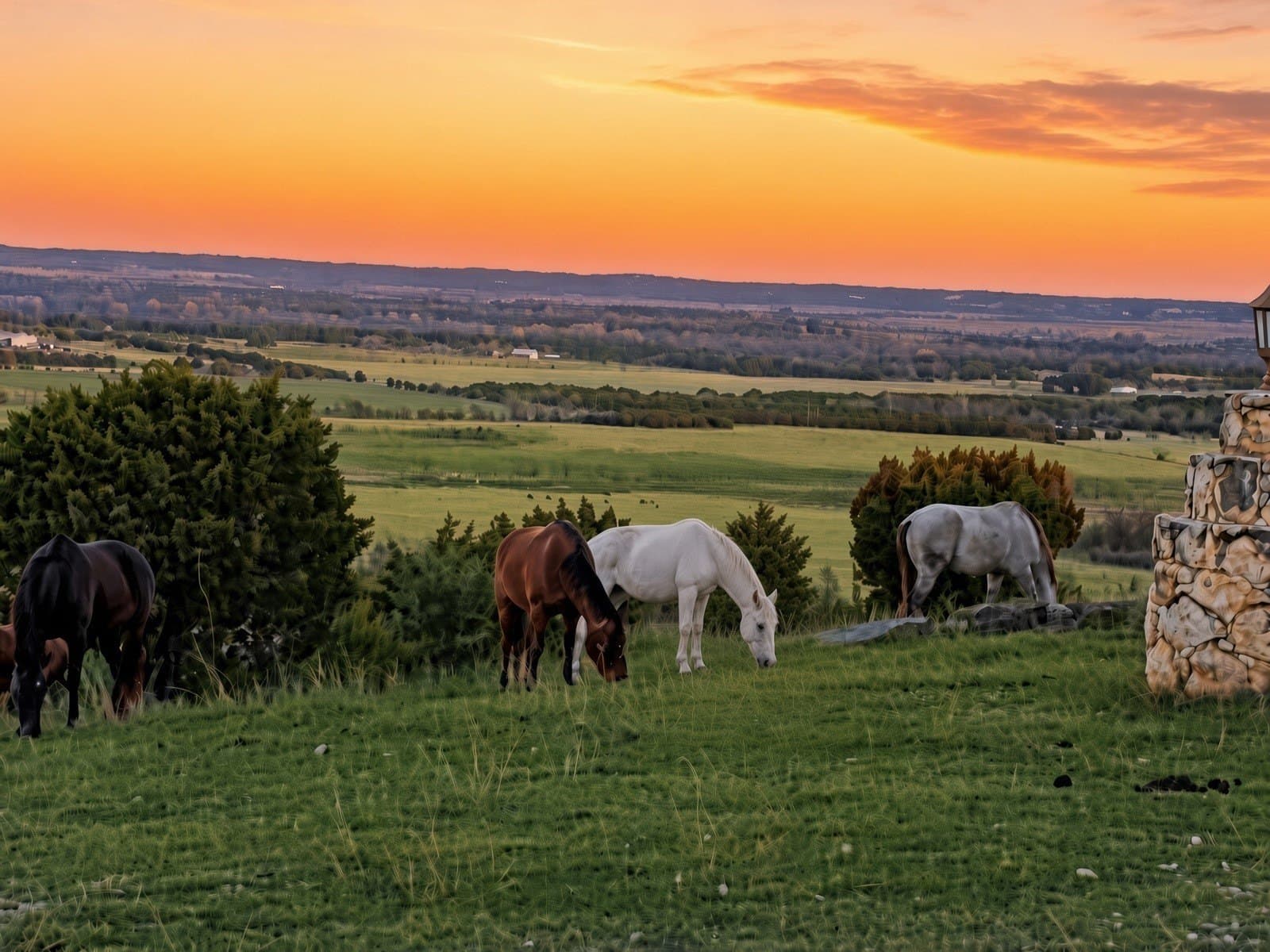 190.06 acres in Bosque County - photo 5