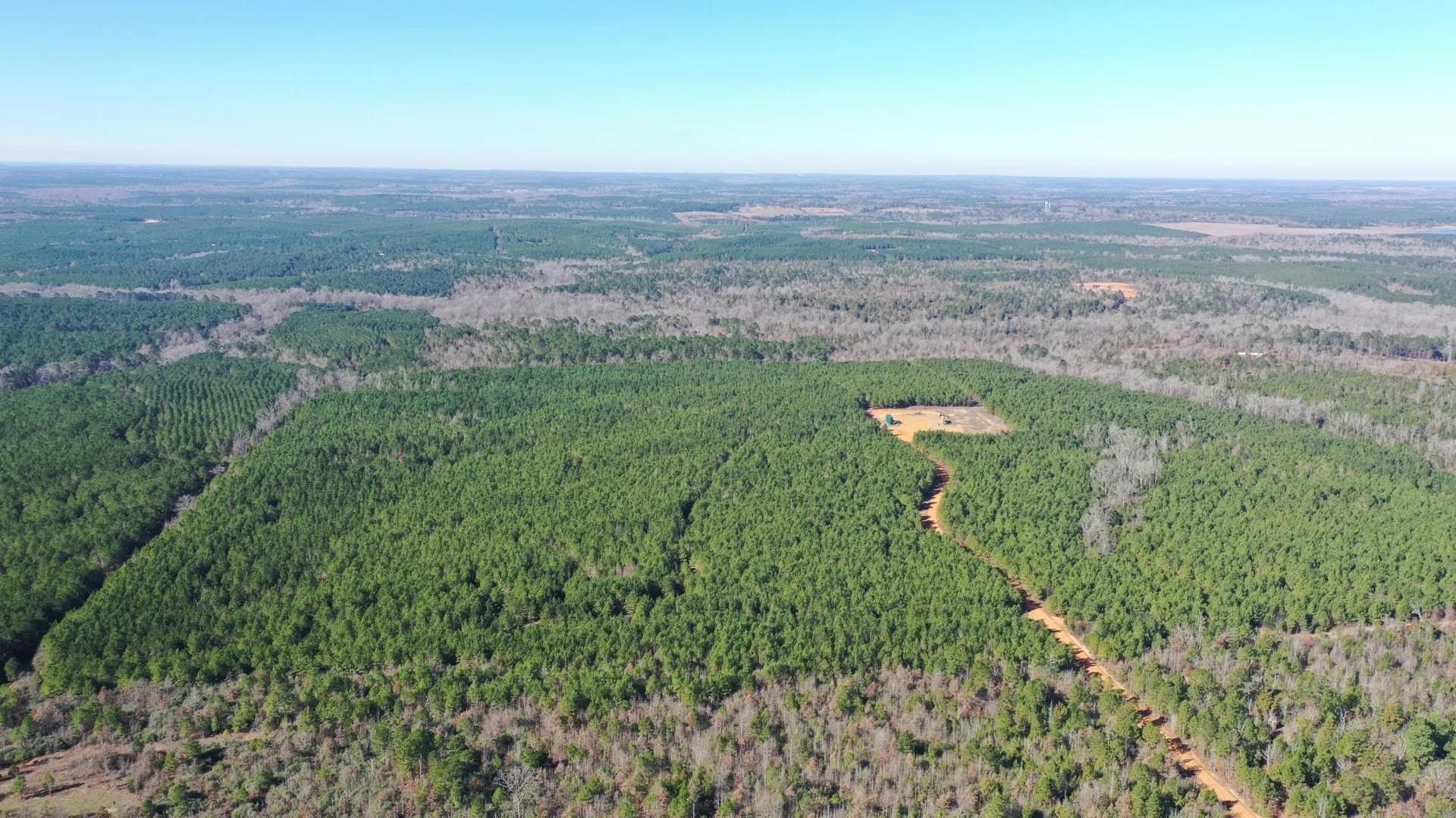 209.66 acres in Cass County - photo 6