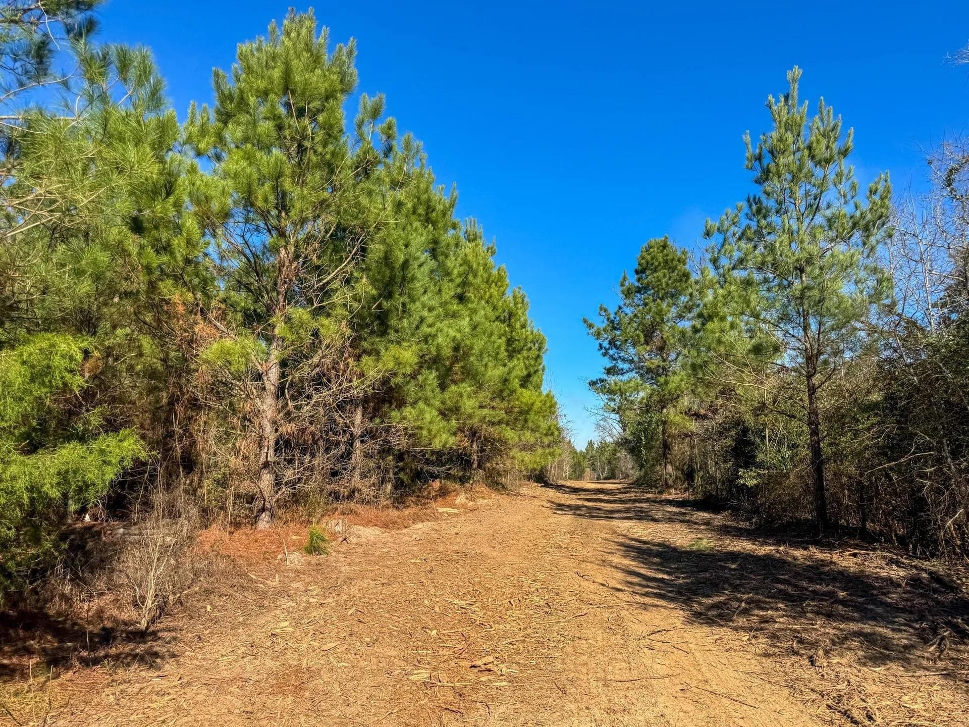 209.66 acres in Cass County - photo 26