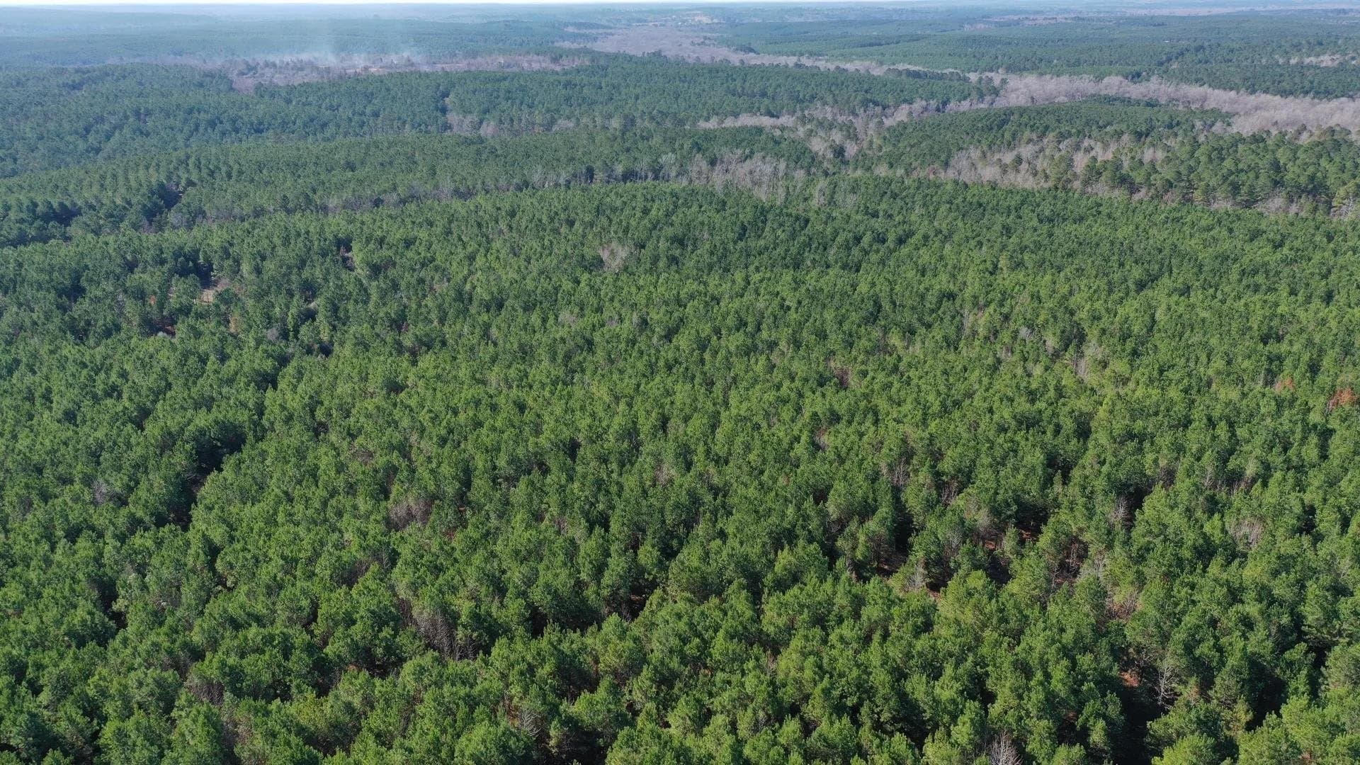 209.66 acres in Cass County - photo 8