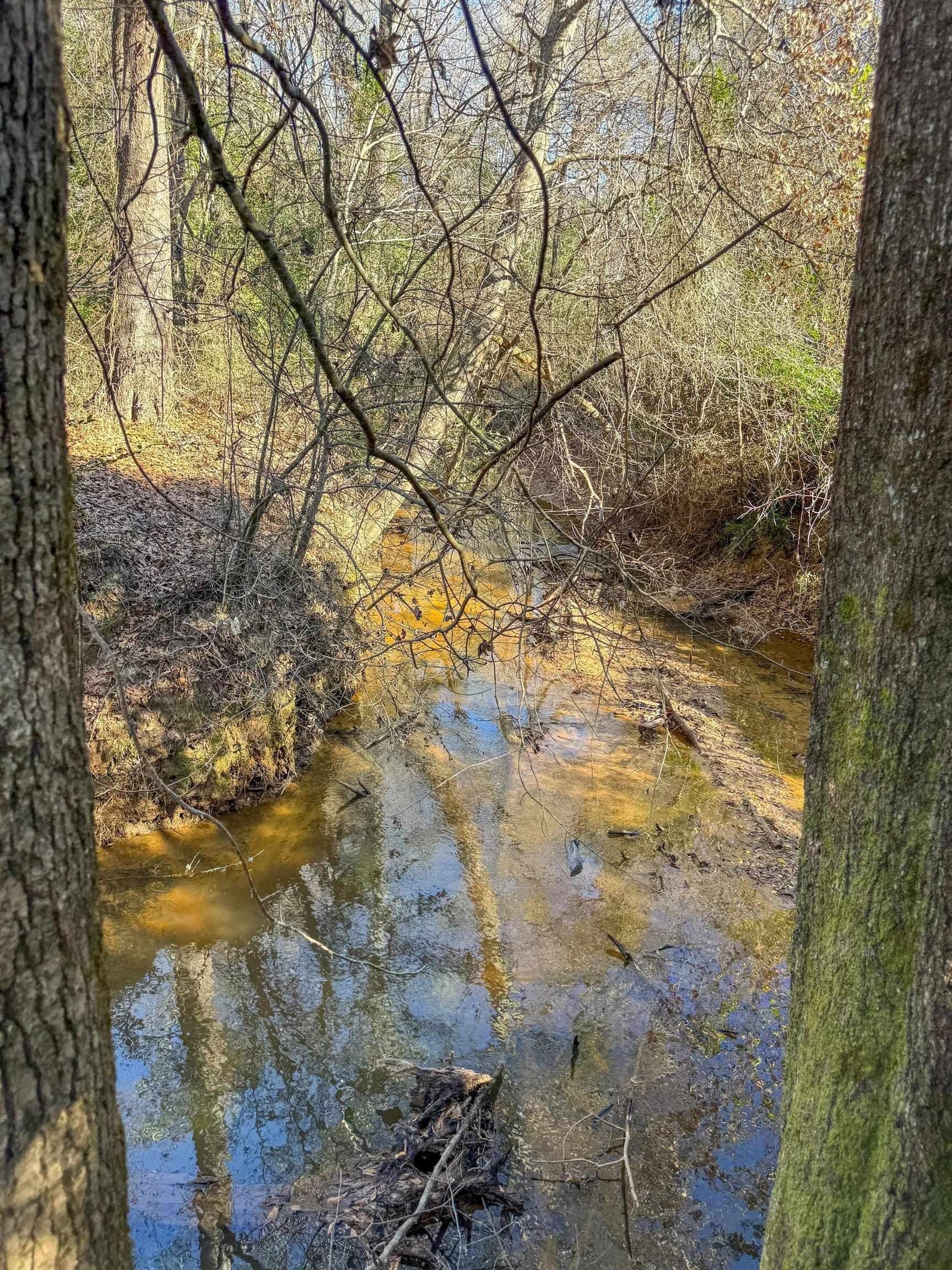 209.66 acres in Cass County - photo 21