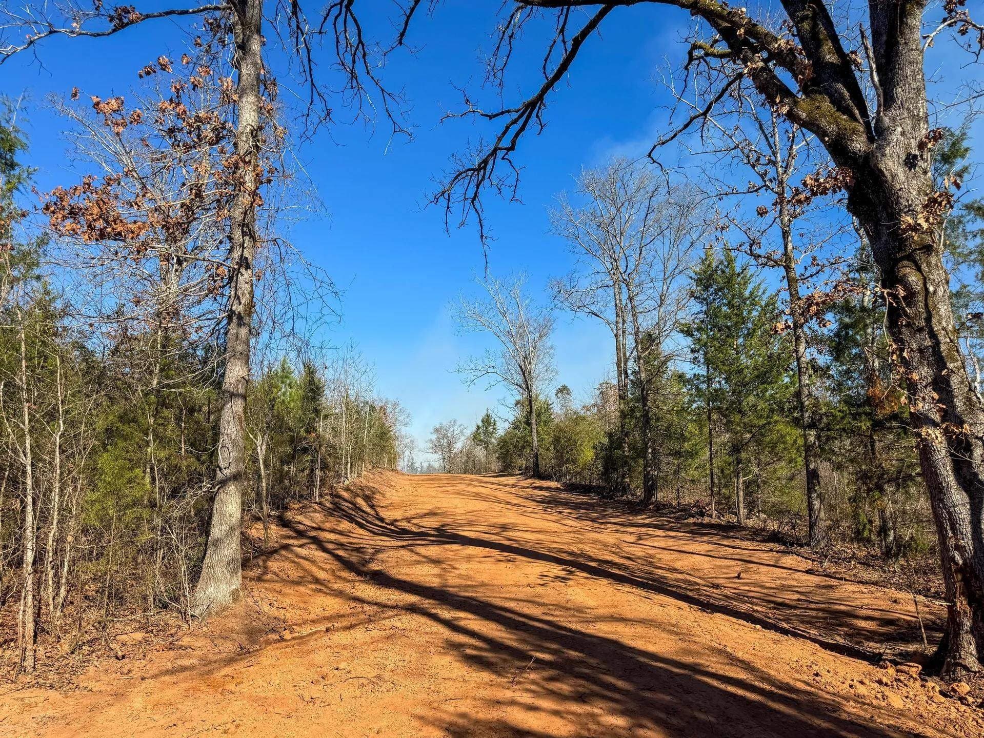 209.66 acres in Cass County - photo 28
