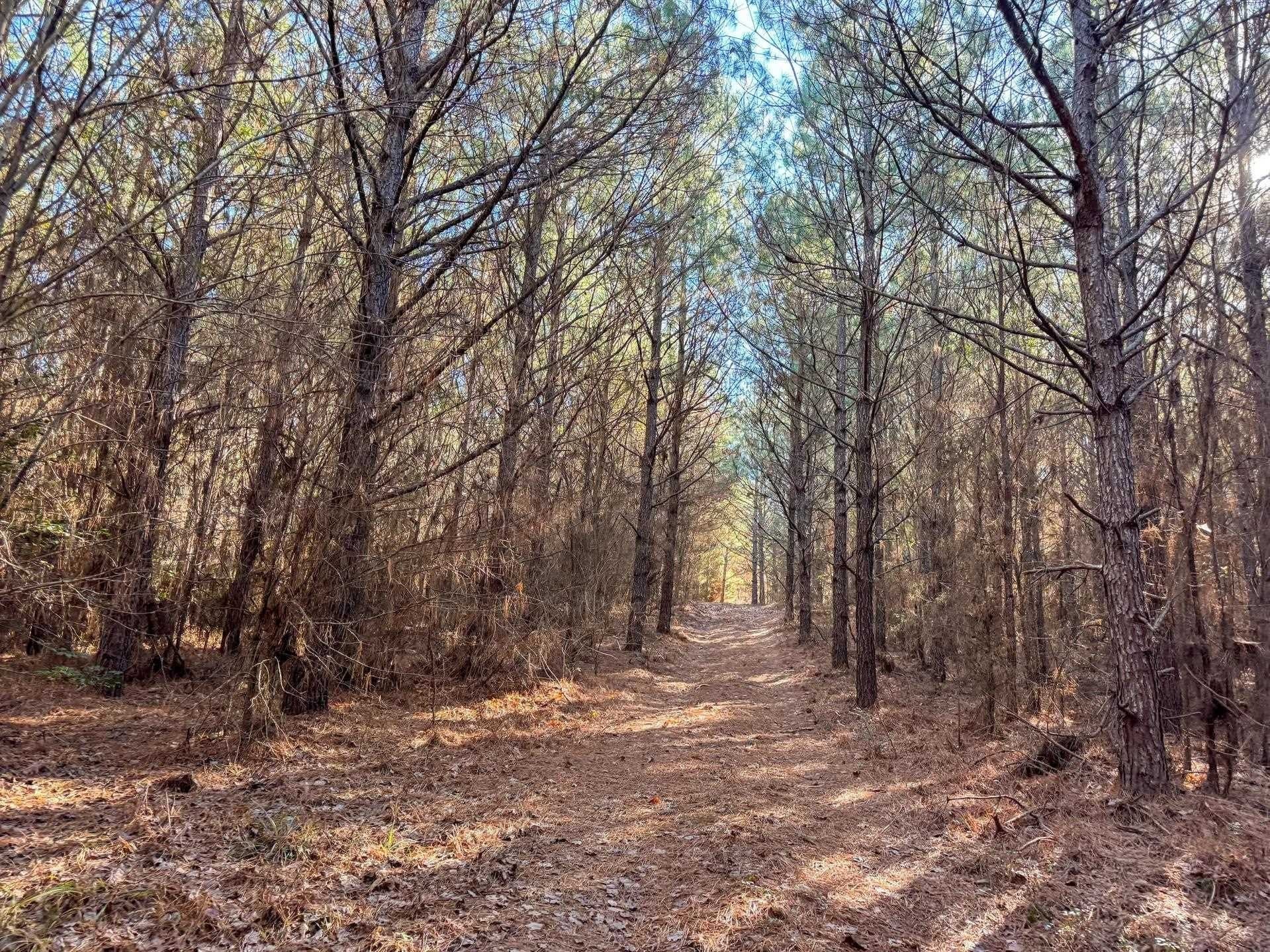 209.66 acres in Cass County - photo 24