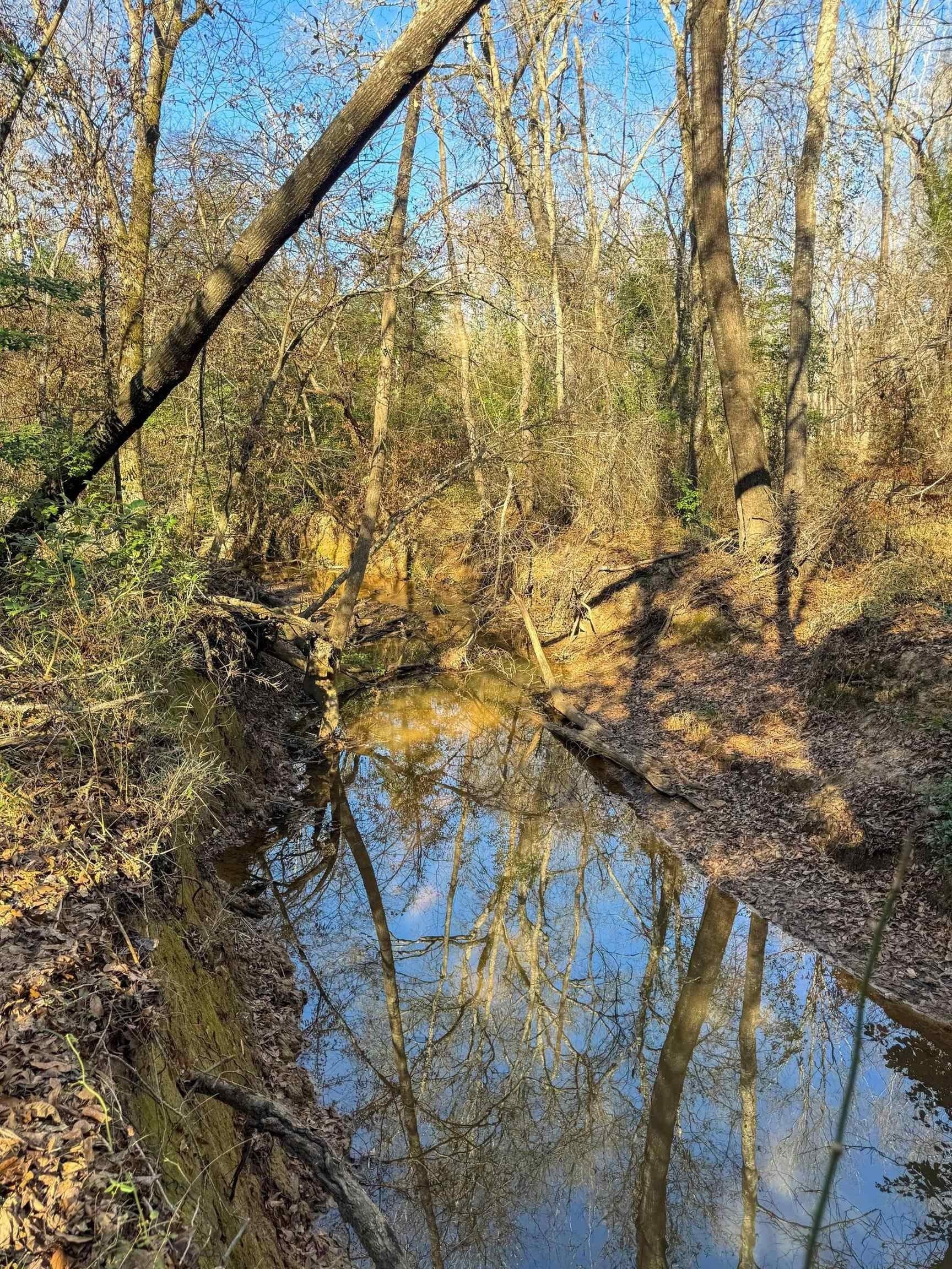 209.66 acres in Cass County - photo 19
