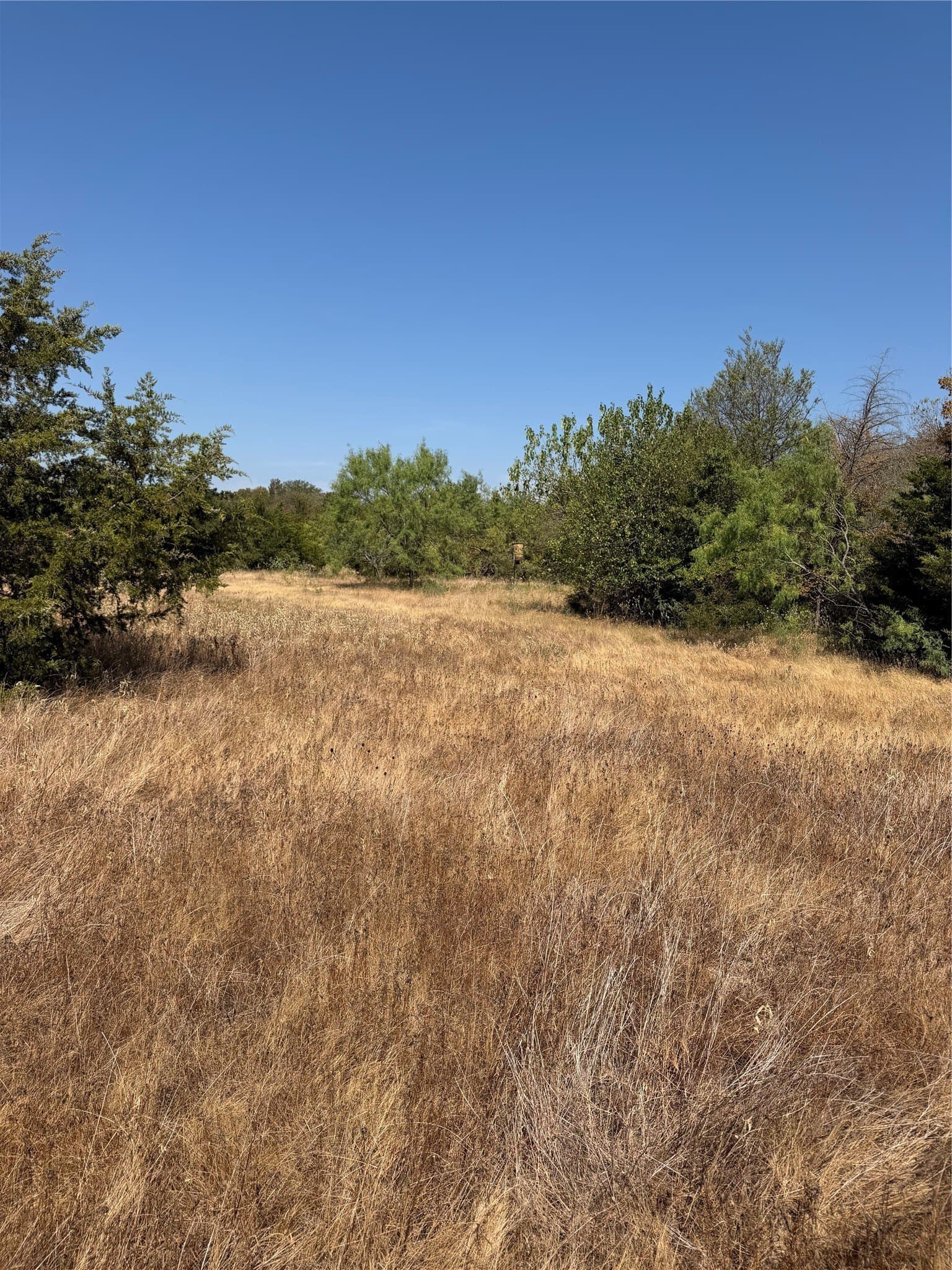 142.53 acres in Kaufman County - photo 14