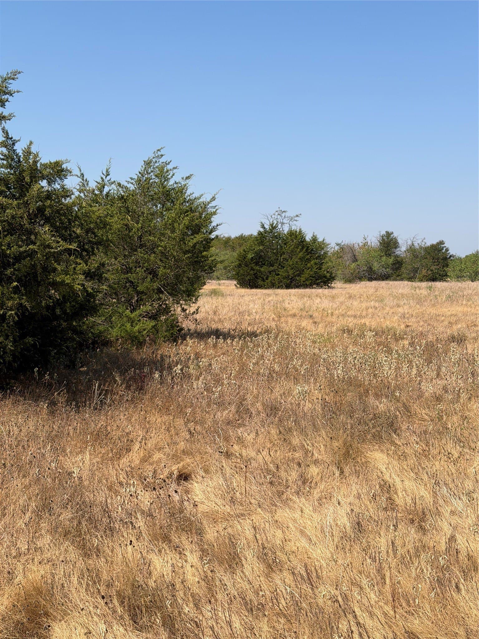 142.53 acres in Kaufman County - photo 11