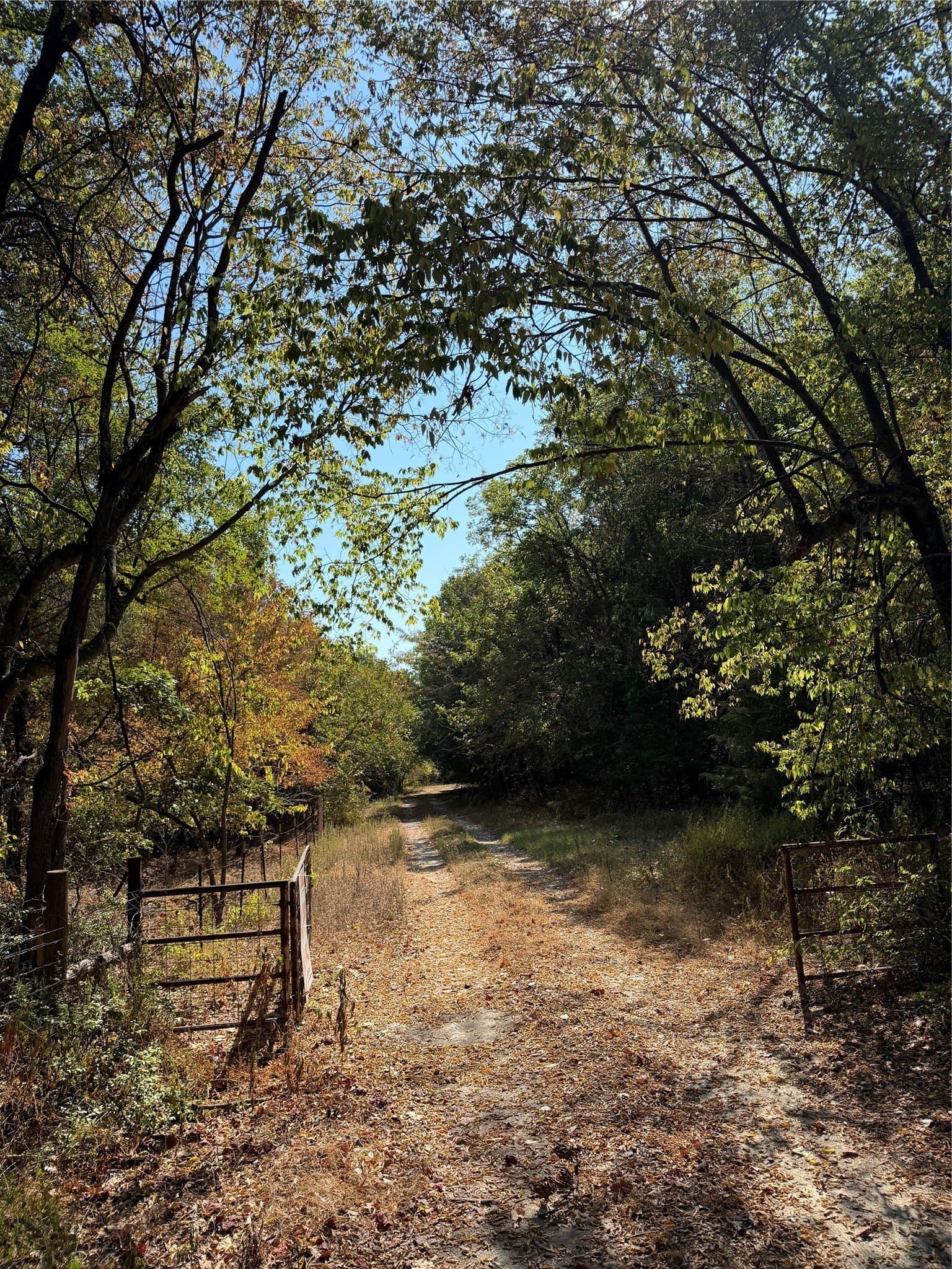 142.53 acres in Kaufman County - photo 22