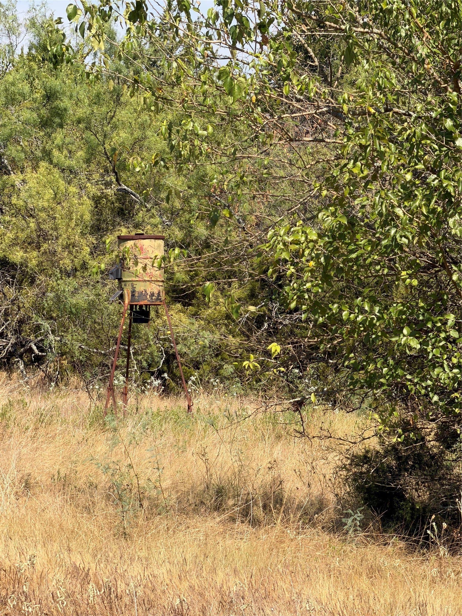 142.53 acres in Kaufman County - photo 13