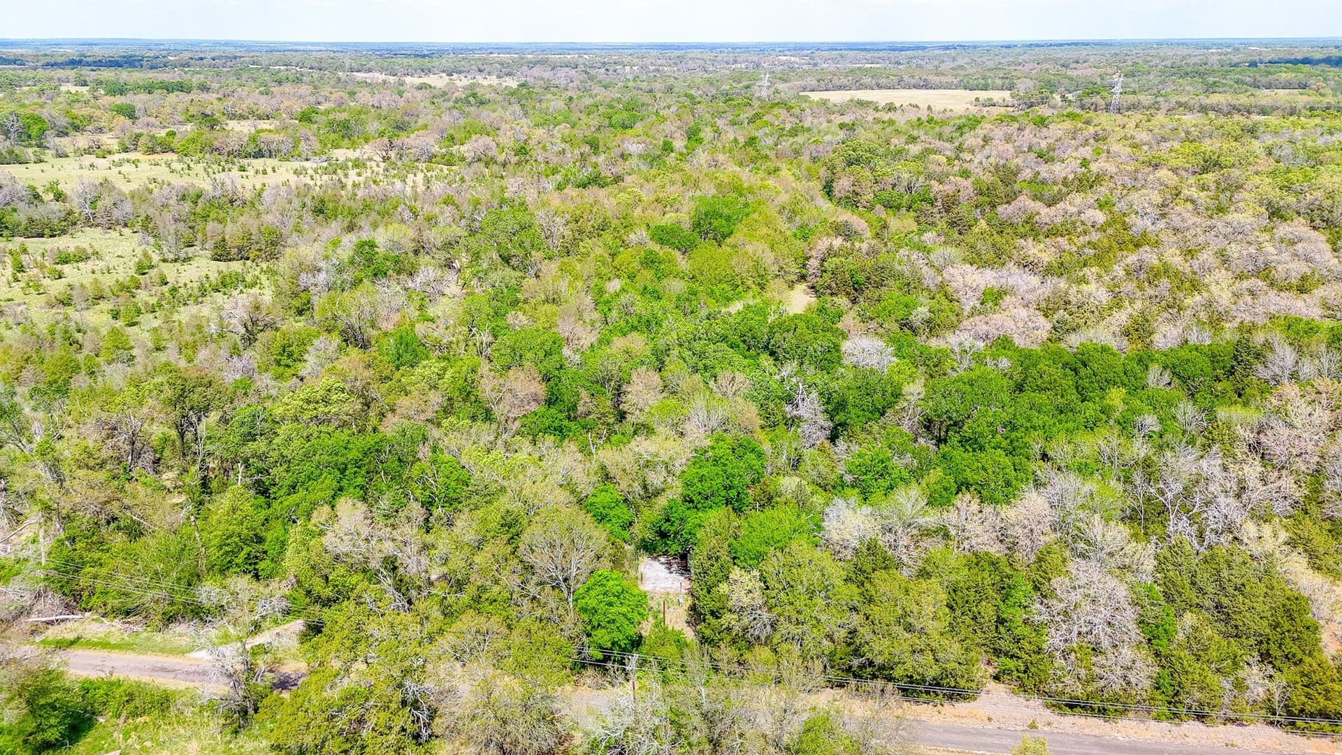 9.55 acres in Freestone County - photo 8
