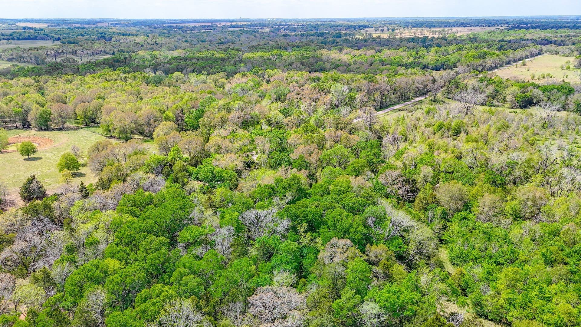 9.55 acres in Freestone County - photo 17