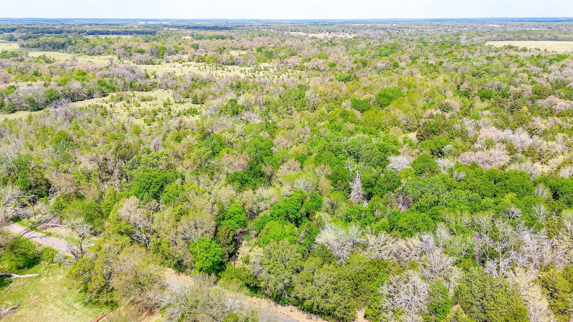 9.55 acres in Freestone County - photo 10